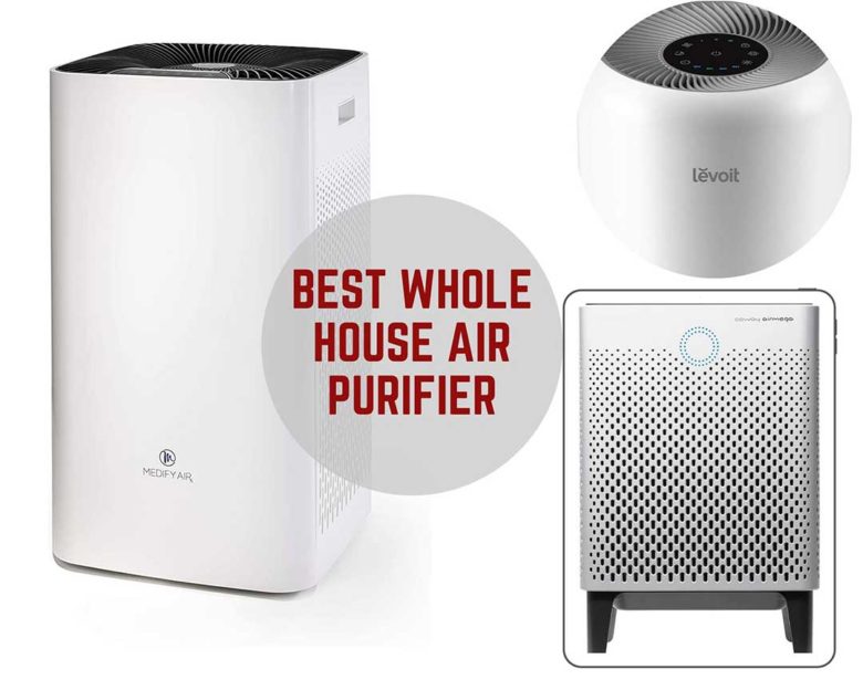 Best Whole House Air Purifier reviews with buying guide