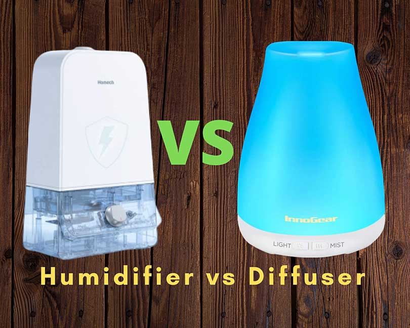 Humidifier vs Diffuser Which Is Best For You?